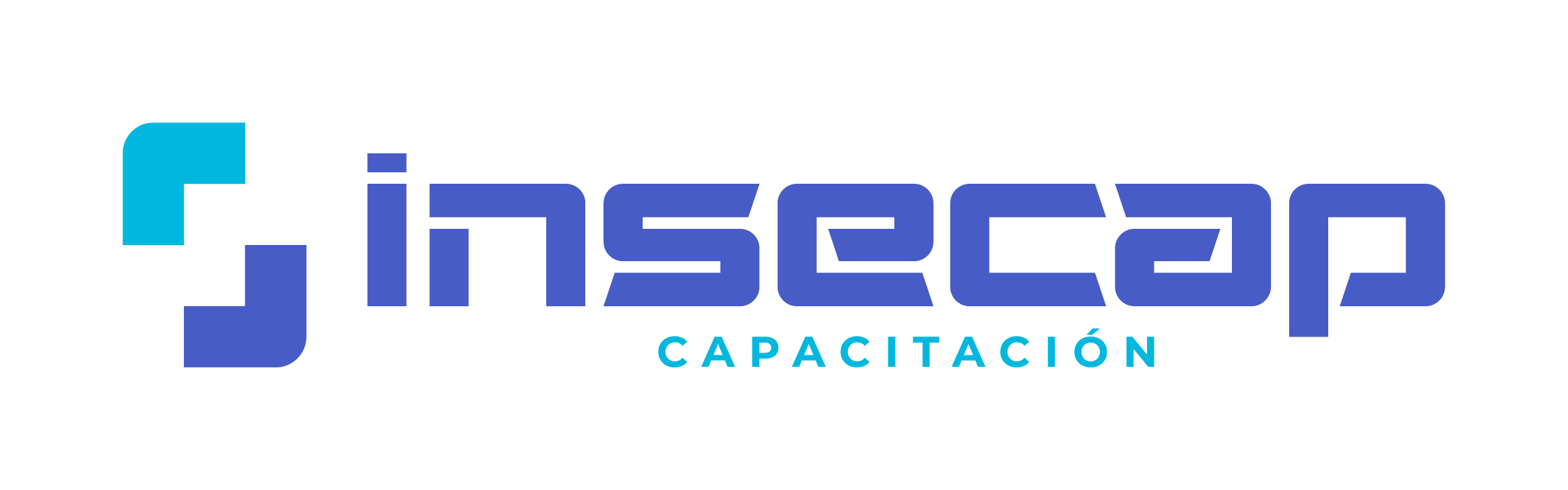 Logo Insecap